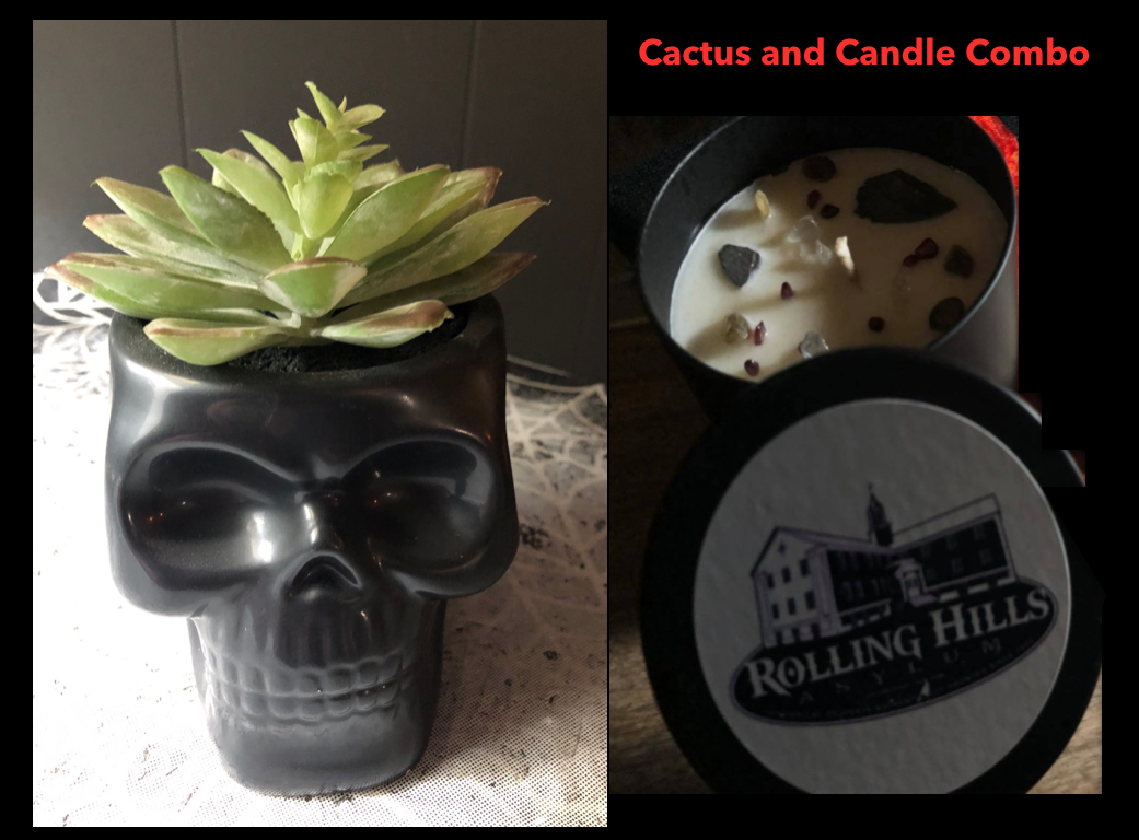 Cactus and Candle Combo