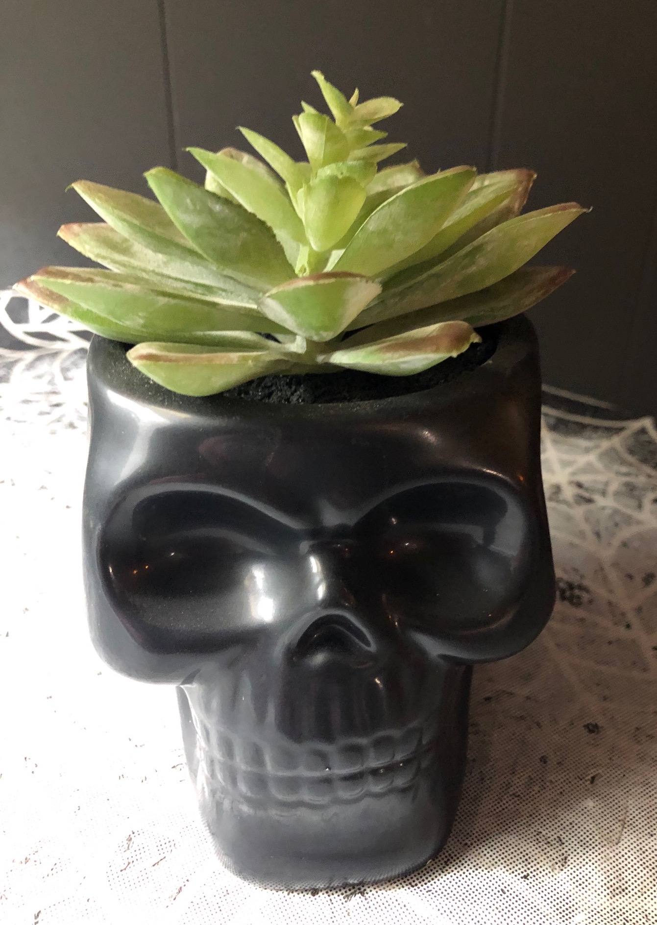Skull with Faux Cactus (Black or Rainbow Metallic)