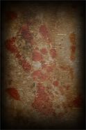 The Linden Murders