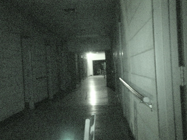 rolling hills asylum