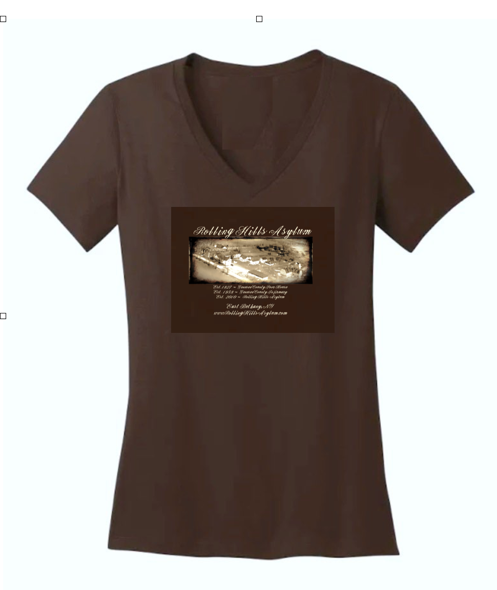 Ladies Brown V- Neck with Vintage Image